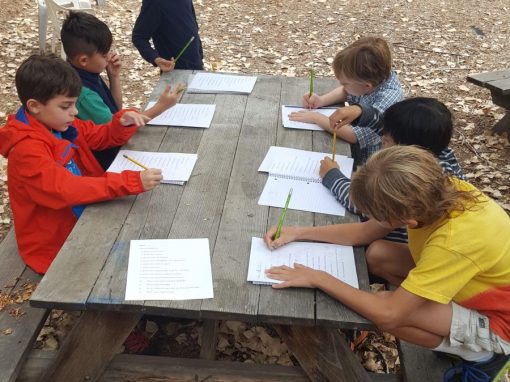 Building Classroom Environment – 3rd Grade Interviews