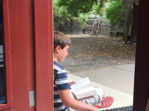 Nurturing Wild Readers and the 40 Book Challenge