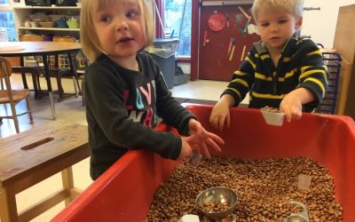 Full of Beans: Fun at the Sensory Table