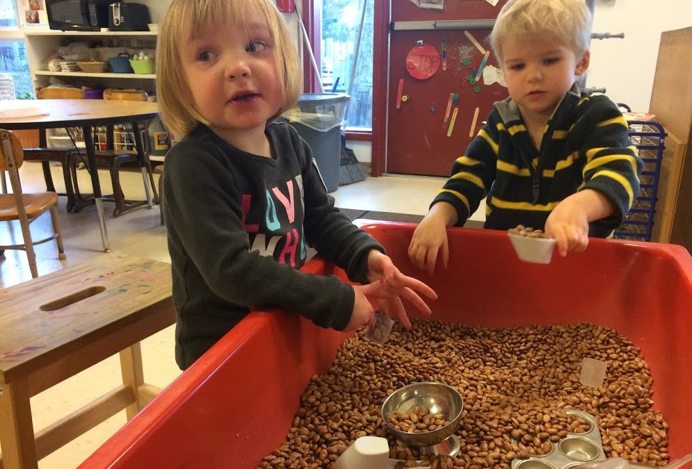 Full of Beans: Fun at the Sensory Table