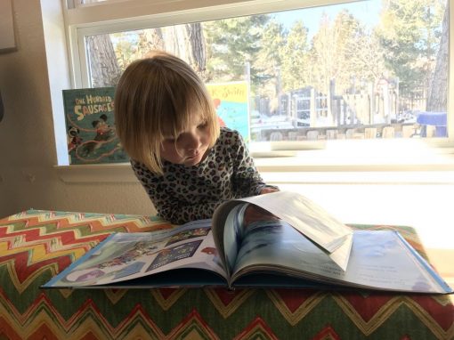Nurturing A Love Of Reading In The Preschool Classroom